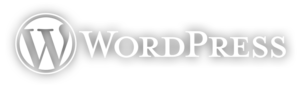 wordpresswebdesignservices-900x264-1